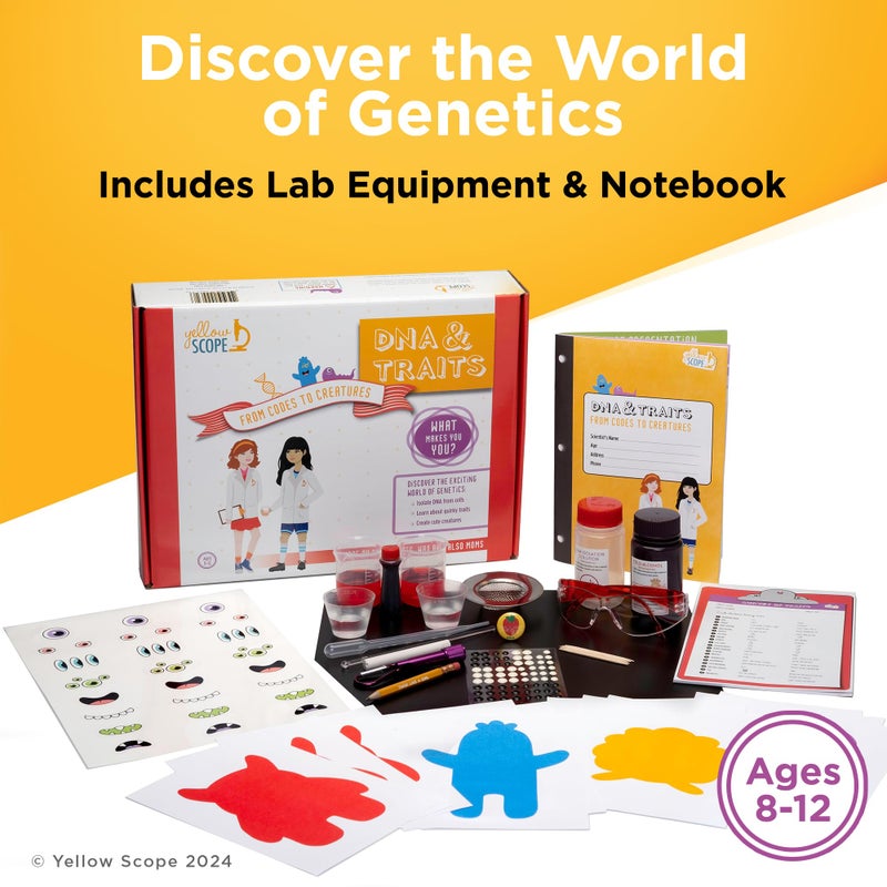 YELLOW SCOPE Genetics Science Kit - DNA & Traits Kit, Metal Lab Tools, Ages 8-12 - Hands-On STEM Science Experiment & Educational Toy - Genetics Lab Setup - Image 2